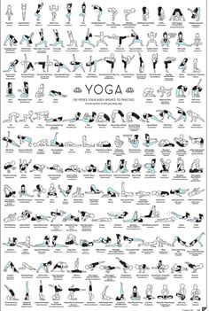 an illustrated poster showing the various exercises for yoga