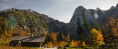 an old cabin in the mountains surrounded by trees and grass with autumn foliage around it