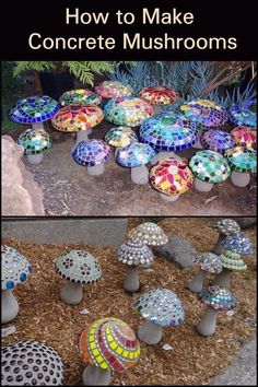 several different types of mushrooms are shown in this collage with the words how to make concrete mushrooms