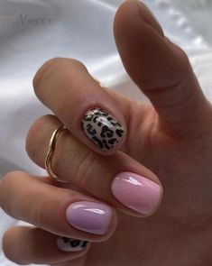 Milky Nails, Minimal Nails, Leopard Nails, Cat Kuku, Dream Nails, Fire Nails