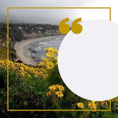 a white circle surrounded by yellow flowers and the ocean in the background with a gold frame