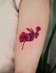 a small red flower tattoo on the arm