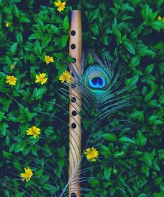 a peacock feather resting on top of a wooden pole next to yellow flowers and green leaves