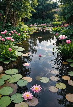 pink water lilies are floating in the pond with lily pads and trees around them