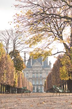 several lawn chairs sitting in front of a large building surrounded by trees with leaves on the ground