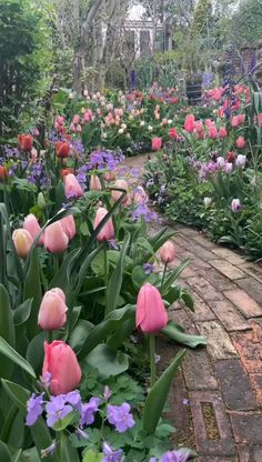 a garden filled with lots of pink and purple tulips next to a brick walkway