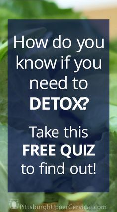 Why you need to detox, plus a quiz to determine your toxic load Vegan Diet Plan, Womens Health Care, Flatter Stomach, Lip Care Routine, Free Quiz, Cleanse Recipes, Word Online