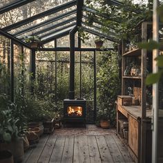 a small wooden floored room with a wood burning stove in the center surrounded by greenery