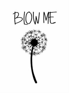 a dandelion with the words blow me in black ink on a white background