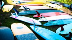 many surfboards are lined up on the grass