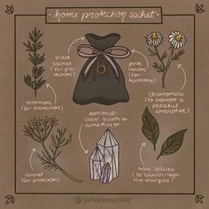 Johanna Polle • Illustration on Instagram: “Long time no magical home talk, right? Today’s illustration is another sneak peek of my upcoming zine called “Magick at Home”. This easy to…” Book Of Shadows Aesthetic, Johanna Polle, Magical Home, Witchcraft Spell Books, Moon Witch