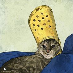 a cat with a yellow rubber hat on it's head