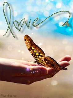 a hand holding a butterfly with the word love written on it