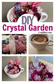 the collage shows different types of flowers and rocks in a bowl, with text overlay that reads diy crystal garden