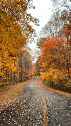 an empty road surrounded by trees in the fall