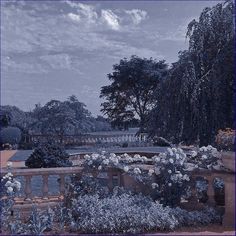 an image of a beautiful garden setting with flowers and trees in the foreground on a cloudy day