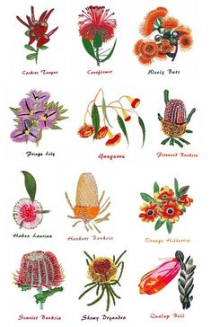 a bunch of different types of flowers on a white background with the names of them