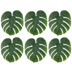 six green leaf shaped magnets on a white background