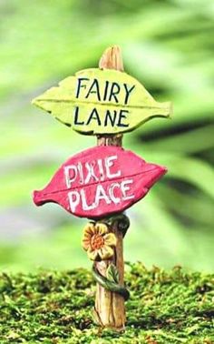 a fairy garden sign with the words fairy lane and pixie place written on it