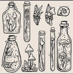 various bottles with plants and mushrooms in them on a beige background illustration by hand drawing