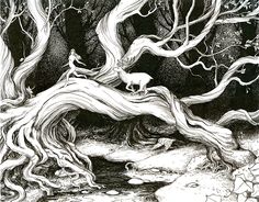 a black and white drawing of a tree in the woods