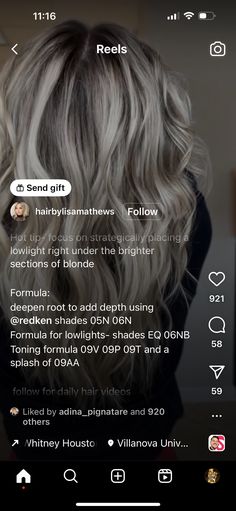 Hair Projects, Hair Videos, Hair Stylist, Blonde, Hair, Grey Hair