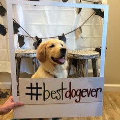 a dog is holding up a sign with the words best dog ever written on it