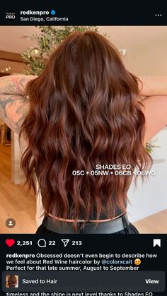 Hair Toner Color Chart, Copper Formulas Shades Eq, Dark Copper Shades Eq Formula, Redken Cool Brown Formula, 5na Shades Eq, Red Toner Formula, Cherry Cola Shades Eq Formula, Red Brown Redken Formulas, Cowboy Copper Wella Formula