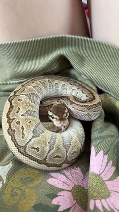 a large snake is curled up on the back of a woman's pants,