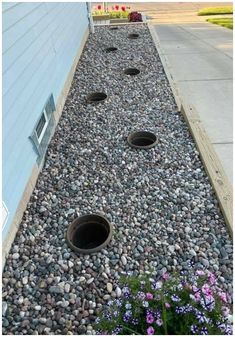 two holes in the ground between some rocks and flowers next to a blue building with purple flowers