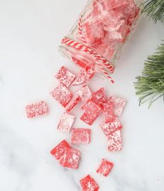 red and white candy canes in a glass jar next to a christmas tree branch