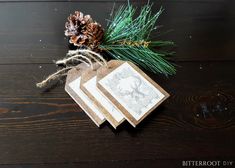 two tags with pine cones on them sitting next to some evergreen branches and twine