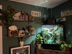 a living room with two shelves filled with plants and skulls on the wall next to a fish tank