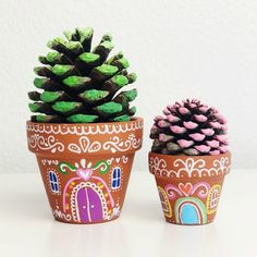 two potted plants with pine cones in them