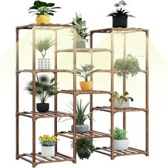 three wooden shelves with plants on them and one shelf holding potted plants in it