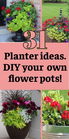 4 planters with bright colored flowers. Text overlay says 31 planter ideas. DIY your own flower pots. Ideas For Planters, Flower Pot Ideas, Backyard Entertainment, Easy Indoor Plants, Front Porch Steps, Indoor Flower Pots, Container Gardening Flowers, Planting Plan, Porch Steps