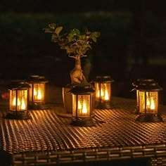 there are many lit candles on the table with a bonsai tree growing out of it