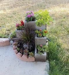 some plants are growing out of concrete blocks