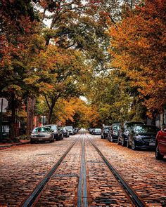 cars parked on the side of a road next to trees with orange and yellow leaves