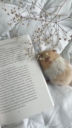 a hamster is sitting next to an open book on a bed with white sheets