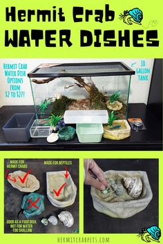 the instructions for how to make a fish tank with rocks and plants in it, including water