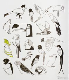 an image of different birds in black and white