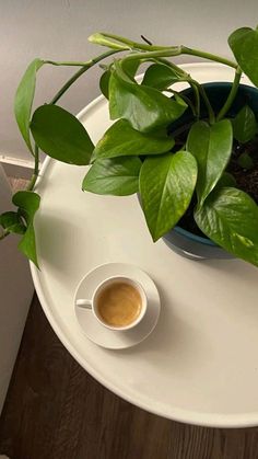 a potted plant sitting on top of a white table next to a cup of coffee