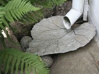 a white toilet sitting in the middle of a garden next to green plants and rocks