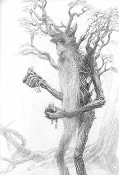 a pencil drawing of a tree with branches