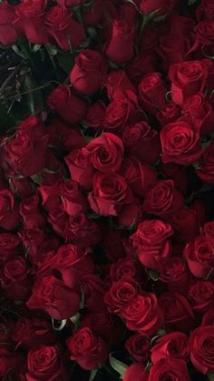 a large bouquet of red roses is shown