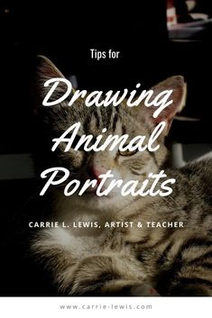 a cat sitting on top of a table next to a computer keyboard and the title tips for drawing animal portraits