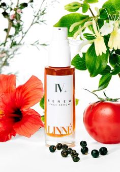 R E N E W face serum – LINNÉ Raw Juice, Daucus Carota, Roman Chamomile, Bergamot Essential Oil, Alpha Lipoic Acid, Chamomile Essential Oil, Wild Harvest, Hibiscus Tea