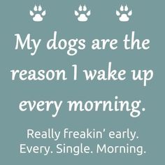 a quote that says, my dogs are the reason i wake up every morning really freakin'early