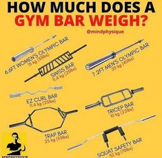 an image of how much does a gym bar weigh? info graphic on yellow background